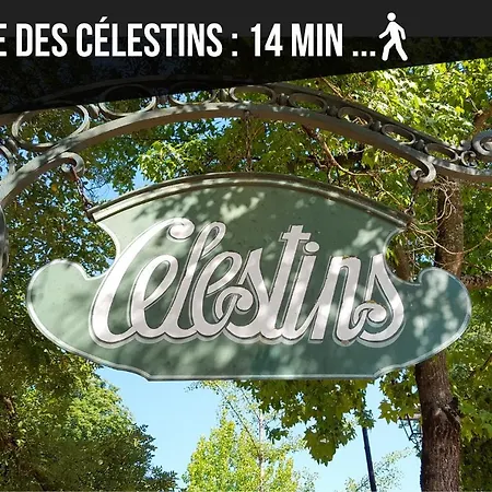 Apartament Vicheia - 11 *